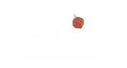 Asli Ayurveda Wellness Private Limited