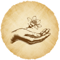 Energy & Conscious Creation