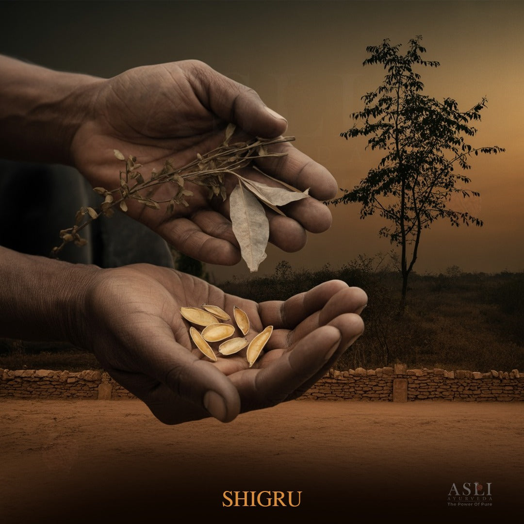 SHIGRU