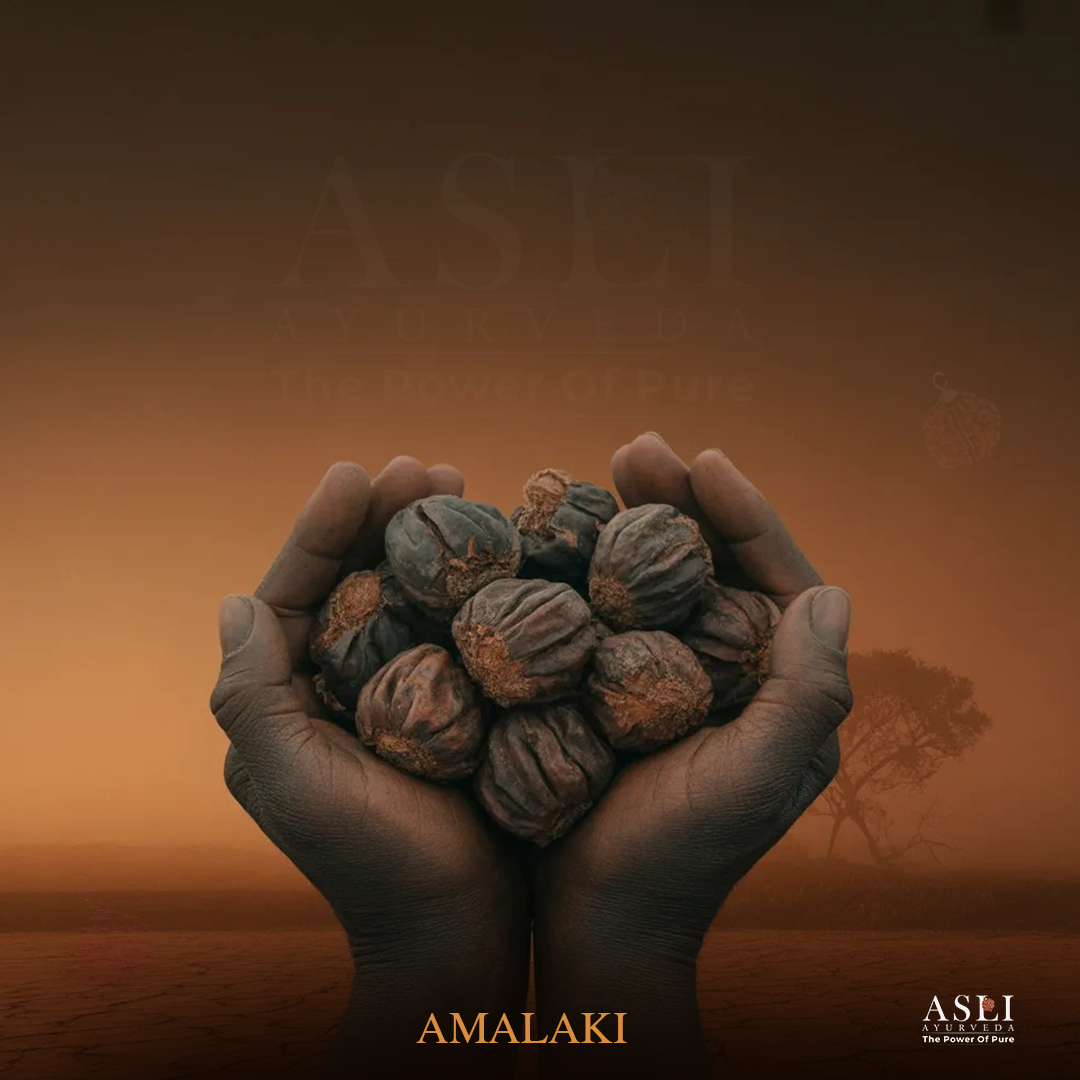 AMALAKI