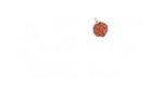 Asli Ayurveda Wellness Private Limited