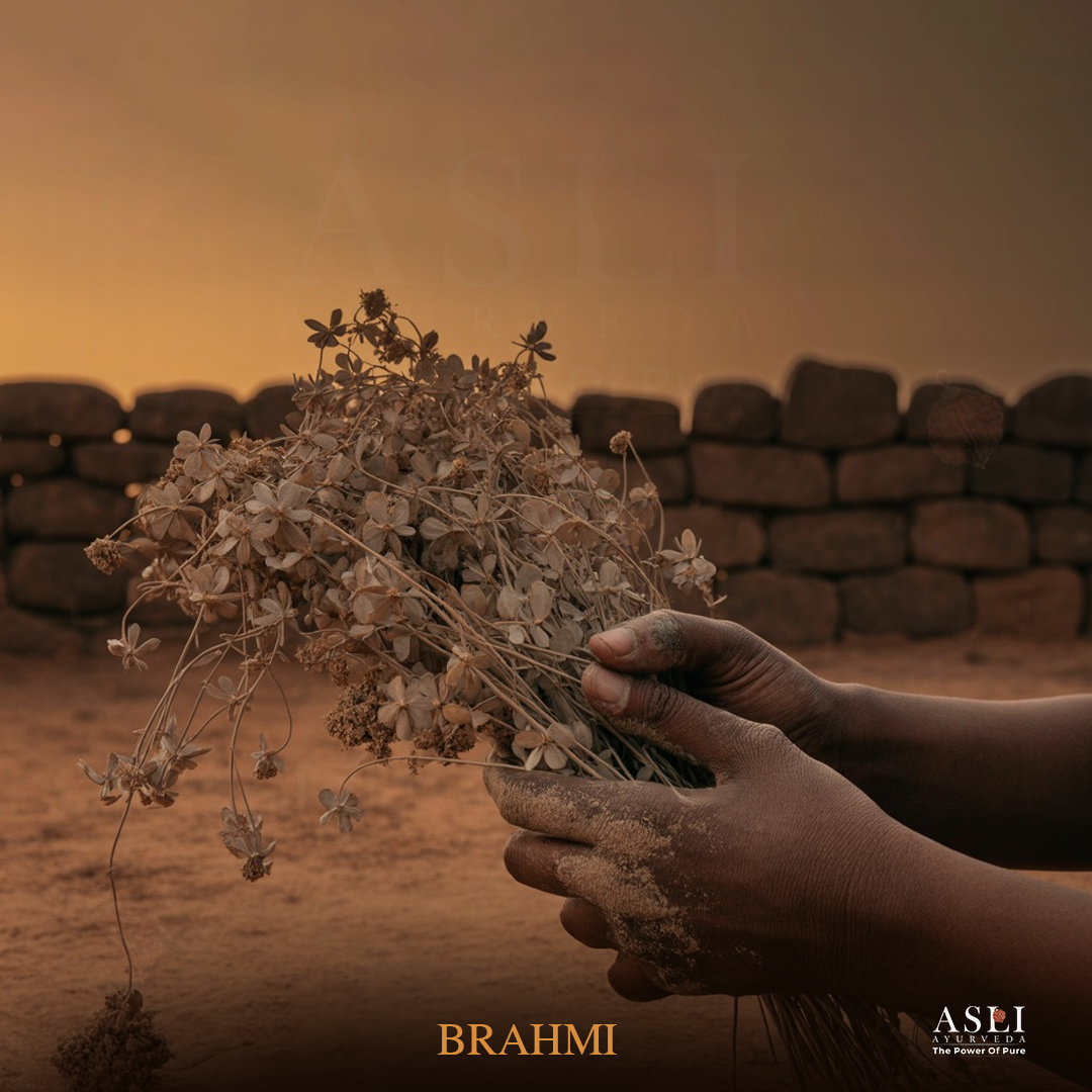 BRAHMI