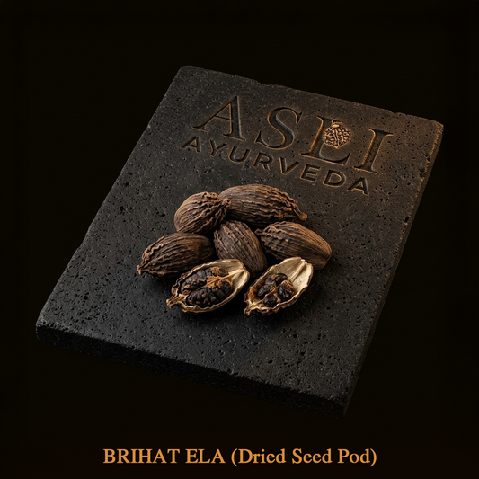 BRIHAT ELA (Badi Elaichi)