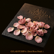 GULAB PUSHPA