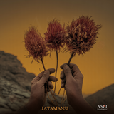 Jatamansi