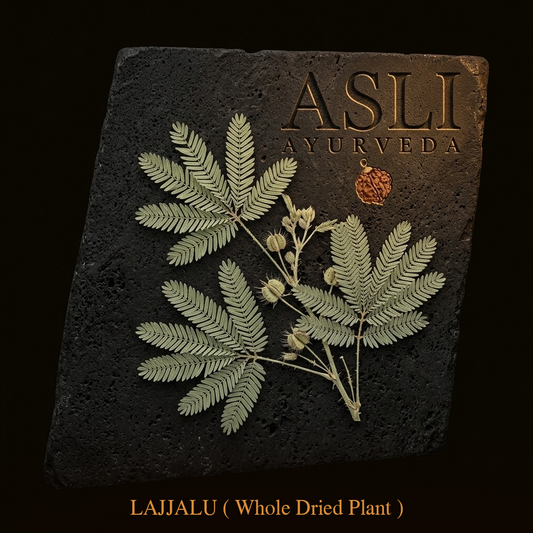 LAJJALU