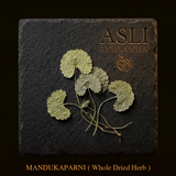 MANDUKAPARNI