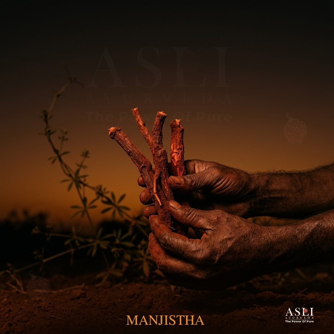 Manjishtha