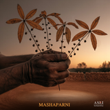 MASHAPARNI