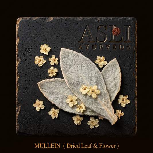 MULLEIN