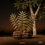 NIMBA
