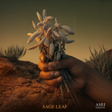 SAGE