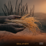 SHALAPARNI