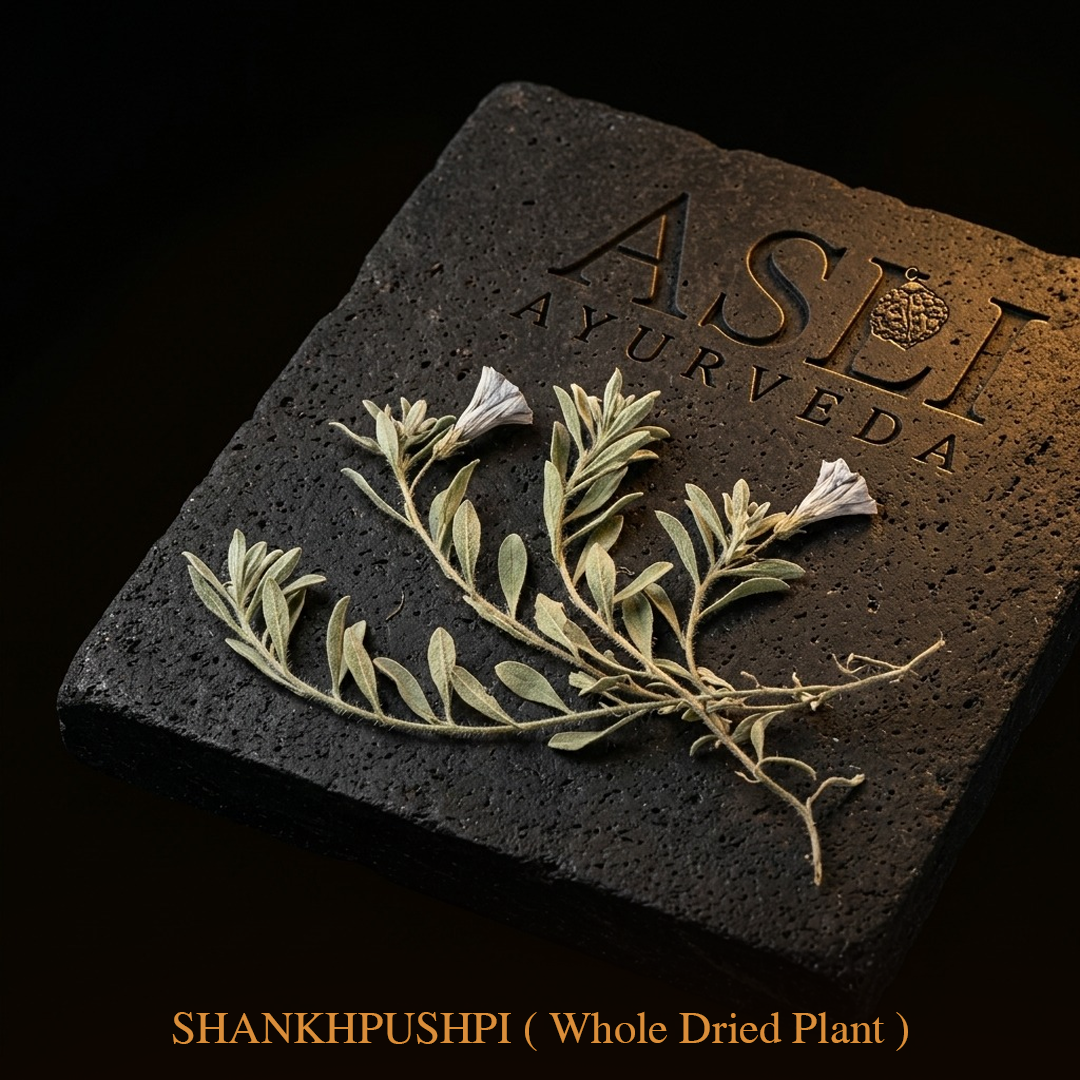 SHANKHPUSHPI