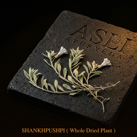 SHANKHPUSHPI