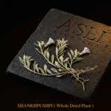 SHANKHPUSHPI