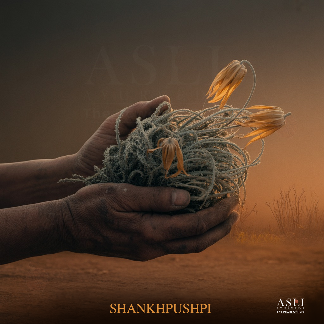 SHANKHPUSHPI