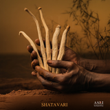 SHATAVARI