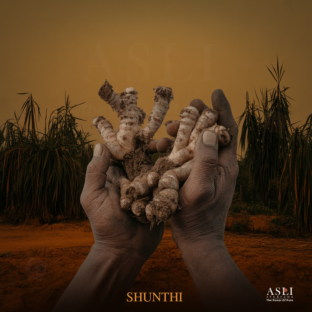 SHUNTHI