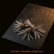 TAGARA
