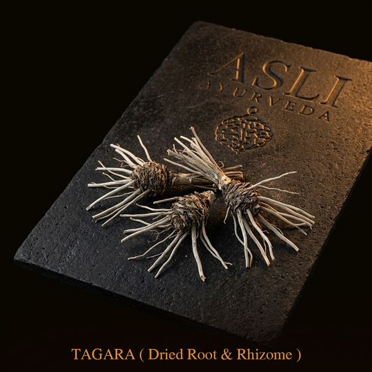 TAGARA