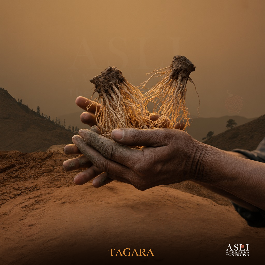 TAGARA