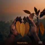 TEJAPATRA