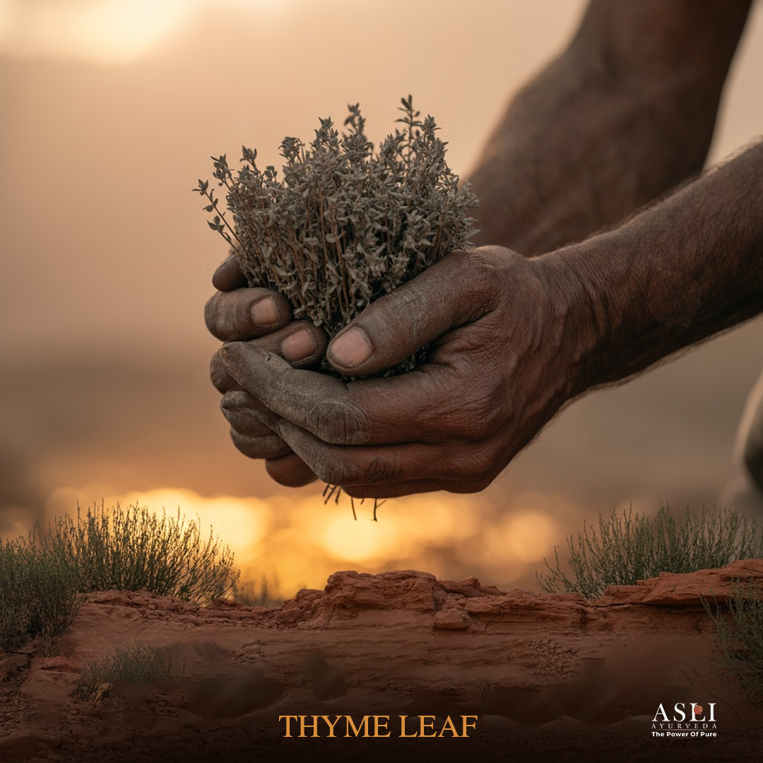 THYME