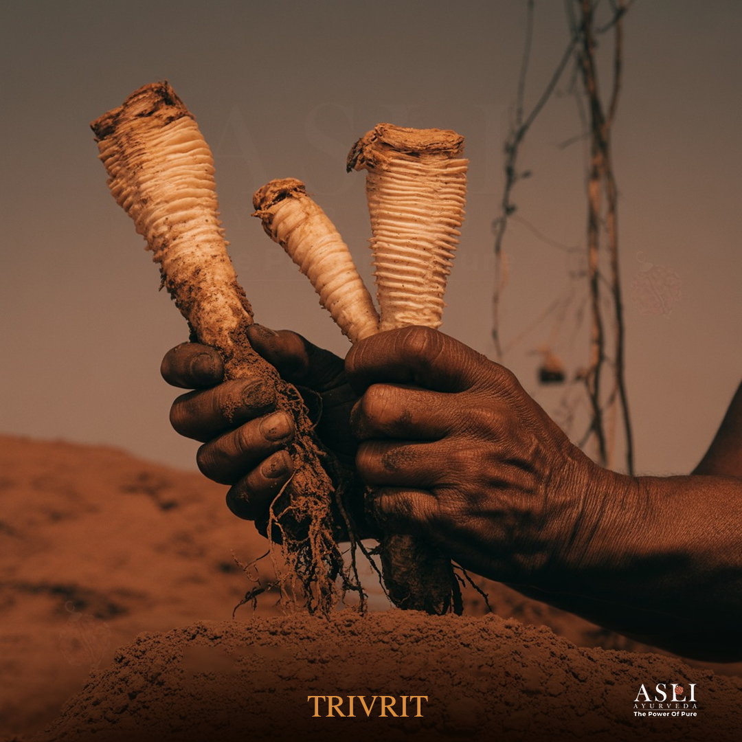 TRIVRIT