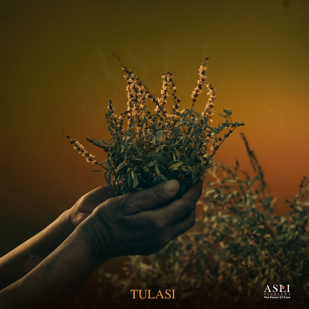 TULASI