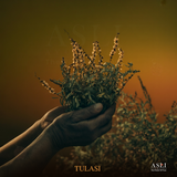 TULASI