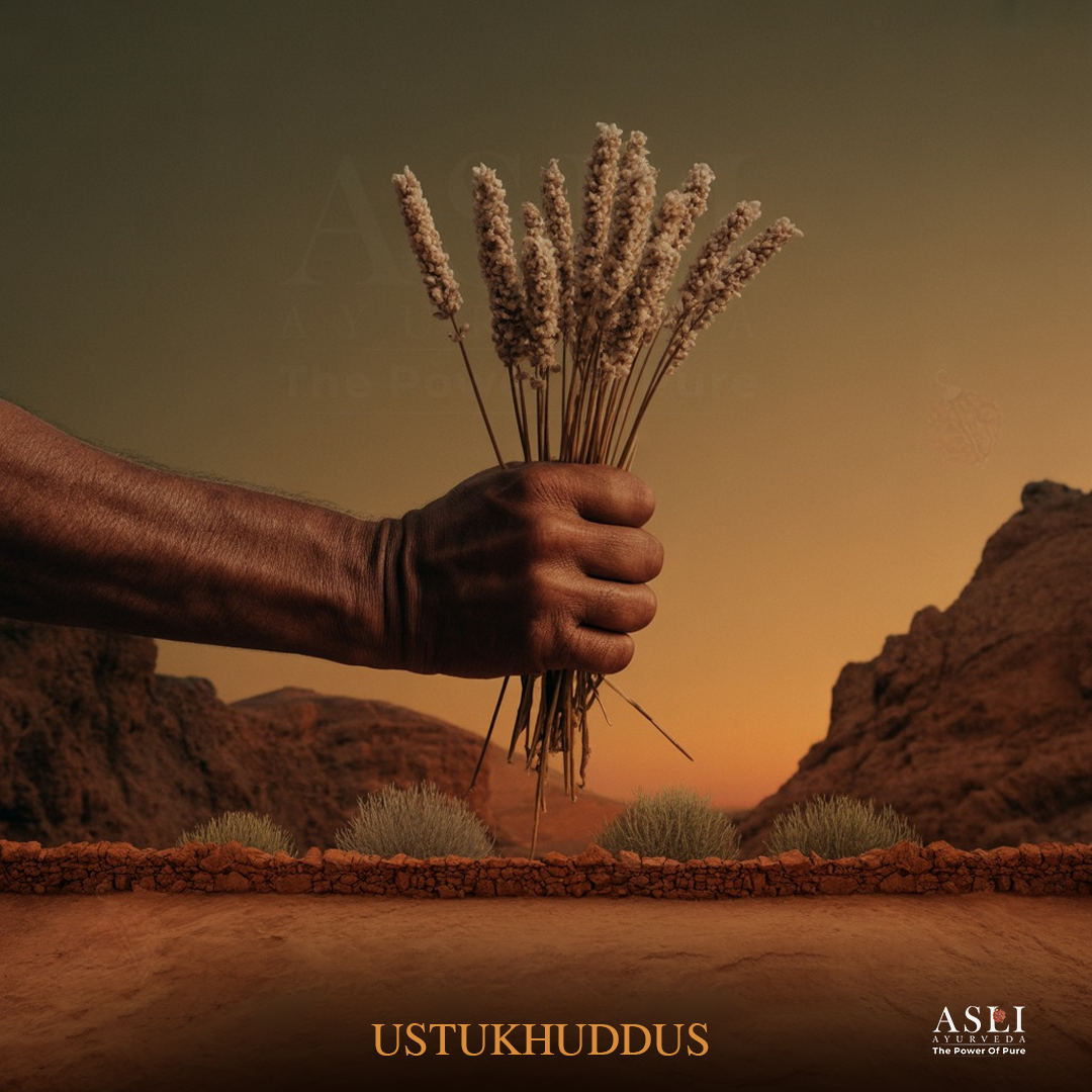 USTUKHUDDUS