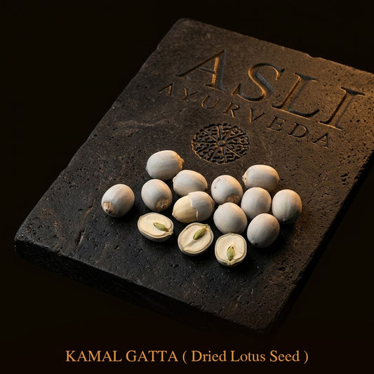 KAMAL GATTA
