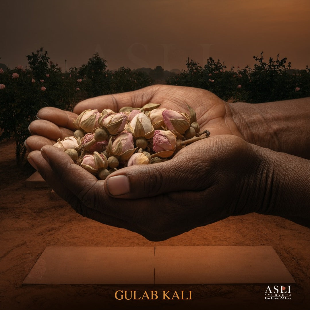 جٹا مانسی