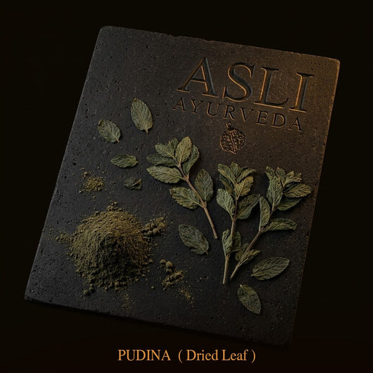 PUDINA