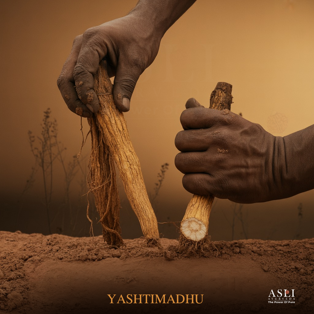 YASHTIMADHU