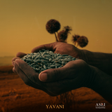 YAVANI