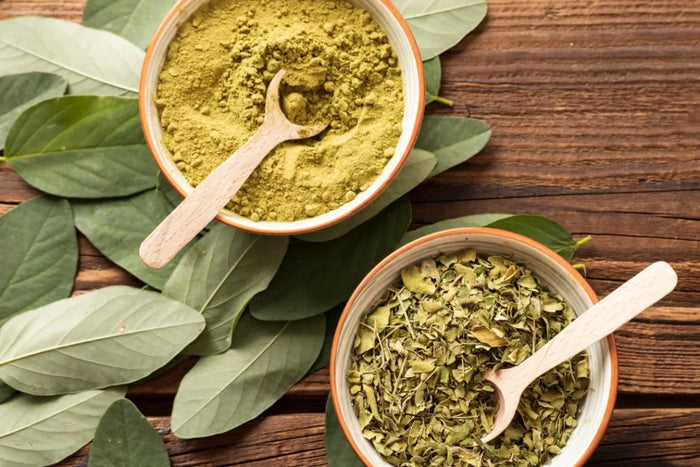 Herbal Extract Powder Supplier