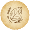 Herbal<br>Cosmetics