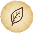 Modern Proprietary Ayurveda