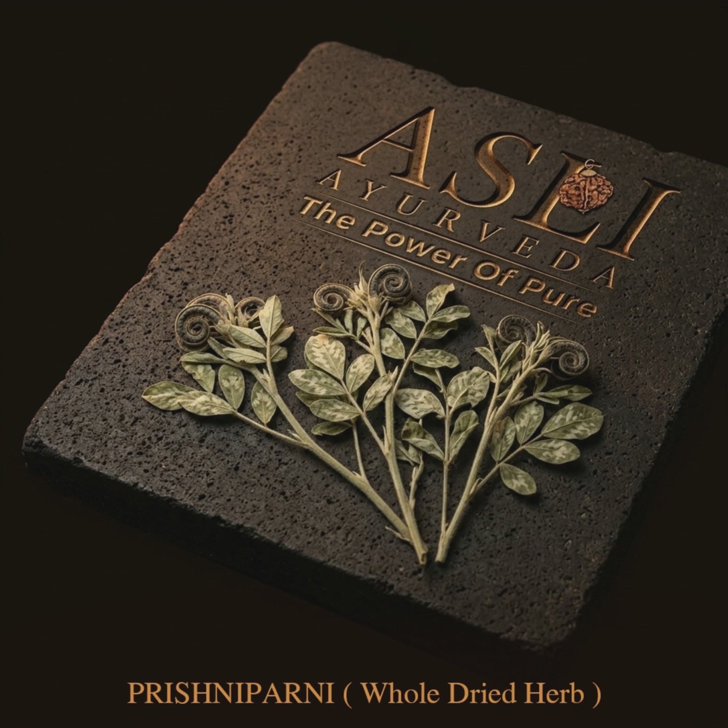 PRISHNIPARNI